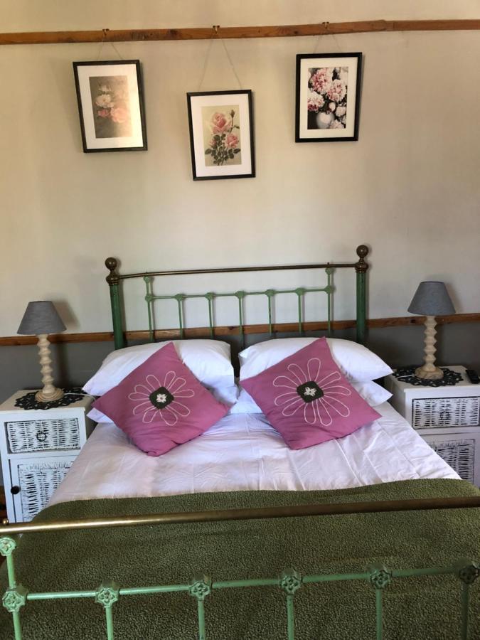 Apple And Rose Bed & Breakfast Belfast Exterior foto