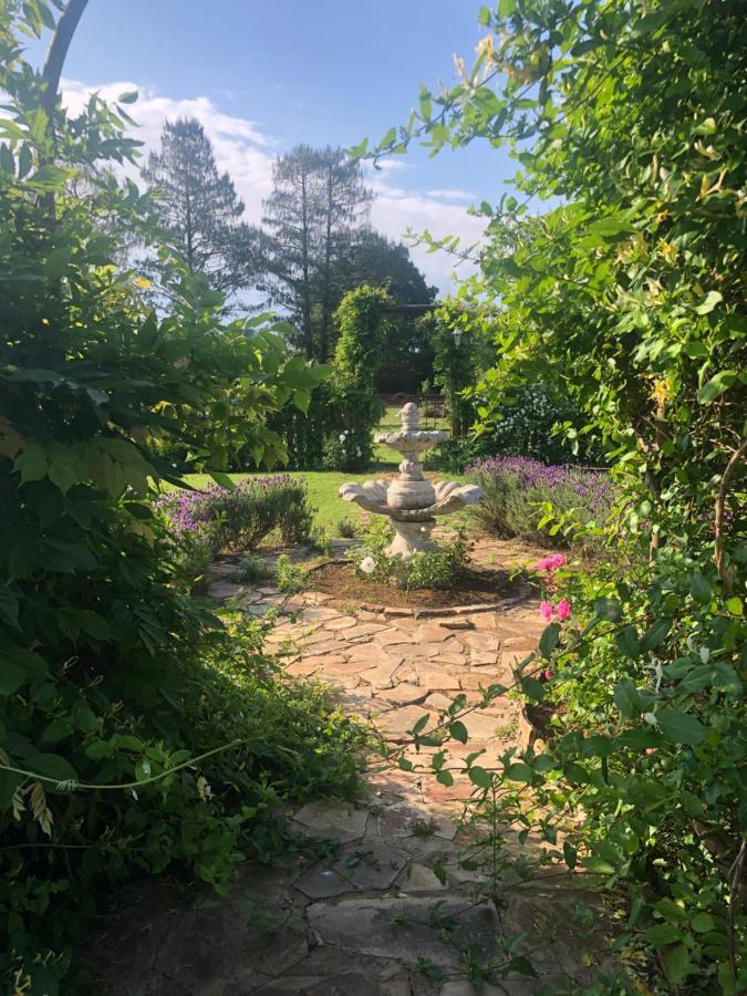 Apple And Rose Bed & Breakfast Belfast Exterior foto