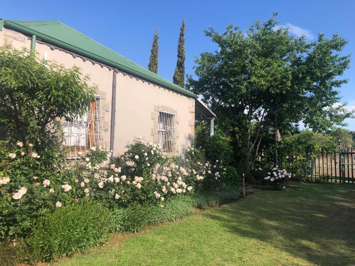 Apple And Rose Bed & Breakfast Belfast Exterior foto